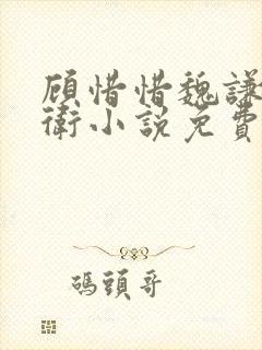 顾惜惜魏谦锦衣卫小说免费阅读