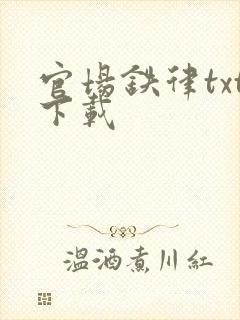 官场铁律txt下载