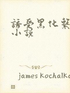 诱受黑化系统 小说