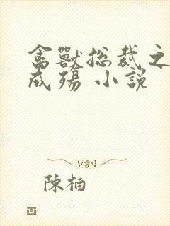 禽兽总裁之虐爱成殇 小说