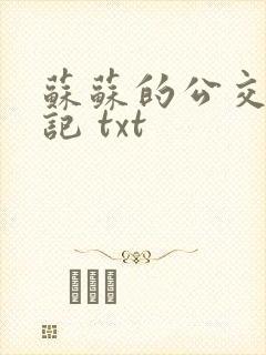 苏苏的公交车日记 txt