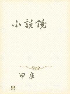 小说镜