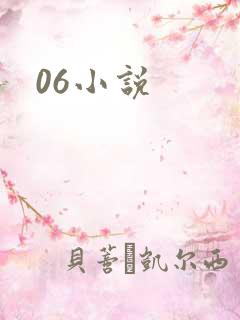 06小说