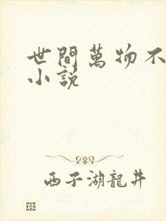 世间万物不及你小说