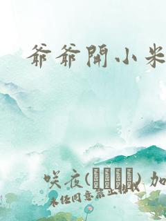 爷爷开小米的处