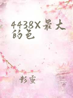 4438X最大的色