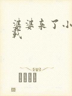 婆婆来了小说下载