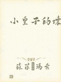 小皇子的坏王妃