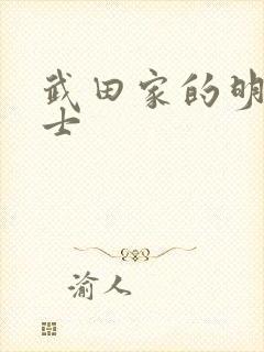 武田家的明国武士