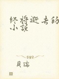 终将逝去的青春小说