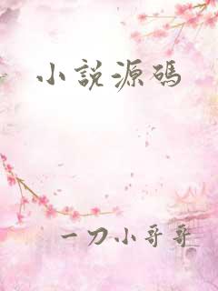 小说源码