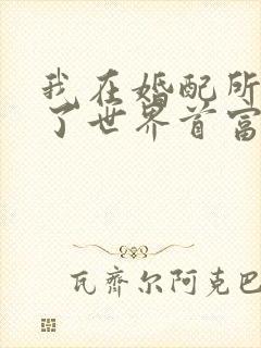 我在婚配所摇到了世界首富小说