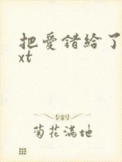 把爱错给了你txt