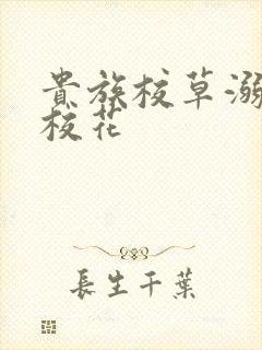 贵族校草溺爱拽校花