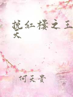 挽红楼之玉舞九天