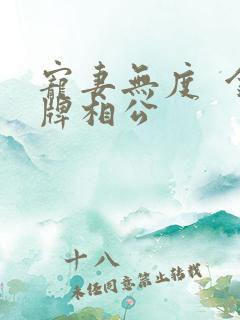 宠妻无度  金牌相公