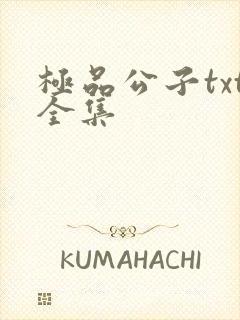 极品公子txt全集