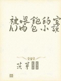 被喂饱的室友(h)肉包小说