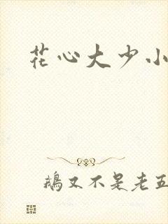 花心大少小说