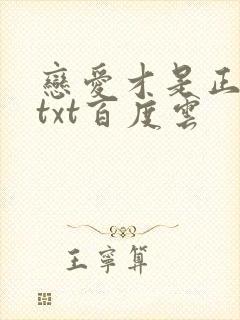 恋爱才是正经事txt百度云