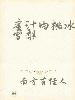 蜜汁肉桃冰糖炖雪梨