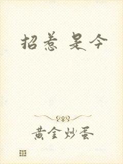 招惹 是今