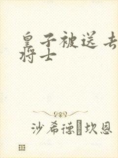 皇子被送去犒劳将士