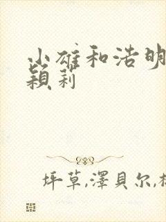 小雄和浩明夹击颖莉