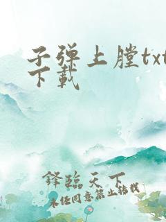 子弹上膛txt下载