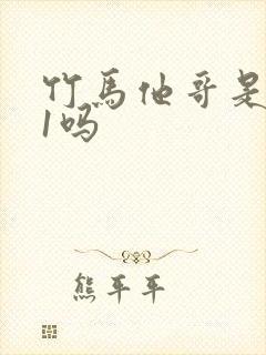 竹马他哥是1v1吗