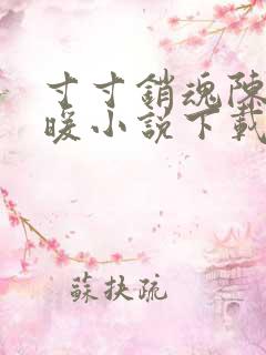 寸寸销魂陈聪王暖小说下载