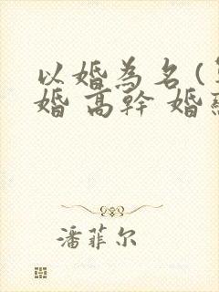 以婚为名 (军婚 高干 婚恋)