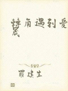 转角遇到爱 李晟