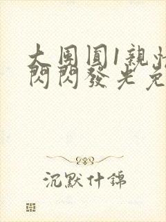 大团圆1亲情会闪闪发光免费