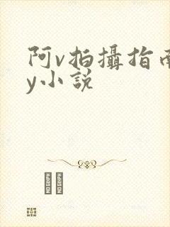 阿v拍摄指南by小说