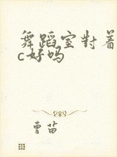 舞蹈室对着镜子c好吗