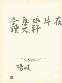 全息碎片在线阅读文轩