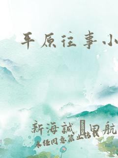 平原往事小说