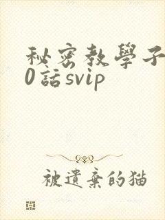 秘密教学子豪60话svip