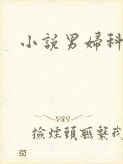 小说男妇科医生
