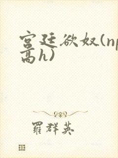 宫廷欲奴(np高h)
