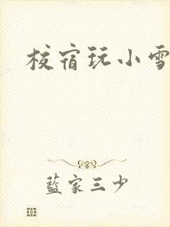 校宿玩小雪