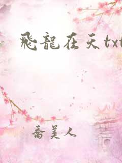 飞龙在天txt