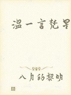 温一言梵星小说
