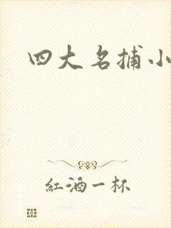 四大名捕小说