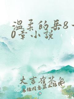 温柔的岳8一20章小说