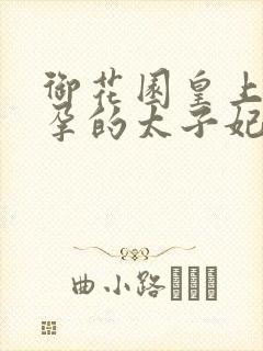 御花园皇上c有孕的太子妃