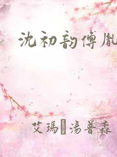 沈初韵傅胤小说