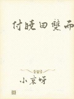 付晓田双面间谍