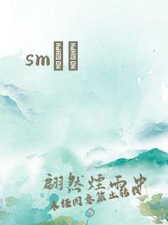 smˮŰ